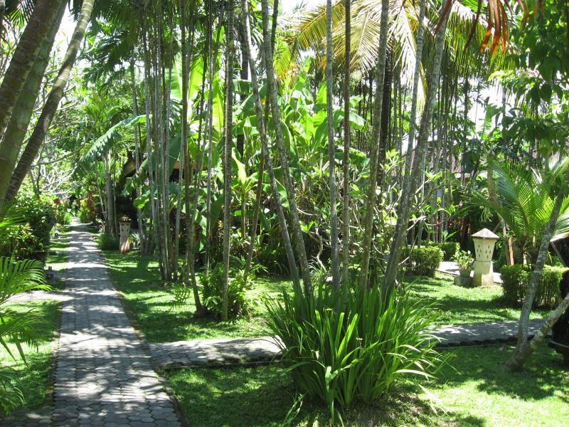 ブミ アユ ホテル 写真