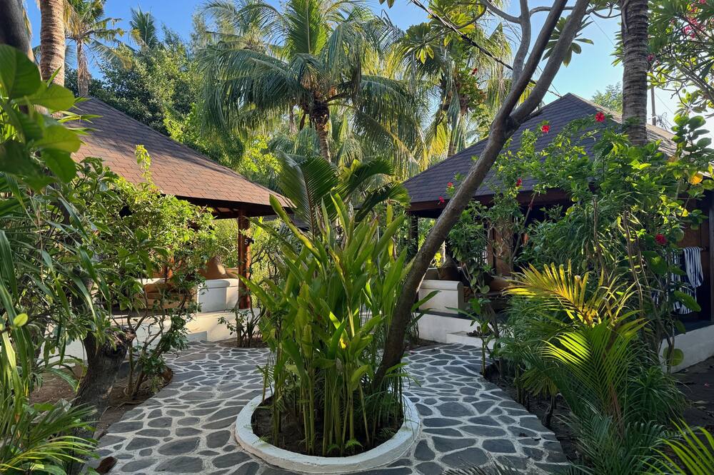 スキャリーワグスビーチクラブ 写真