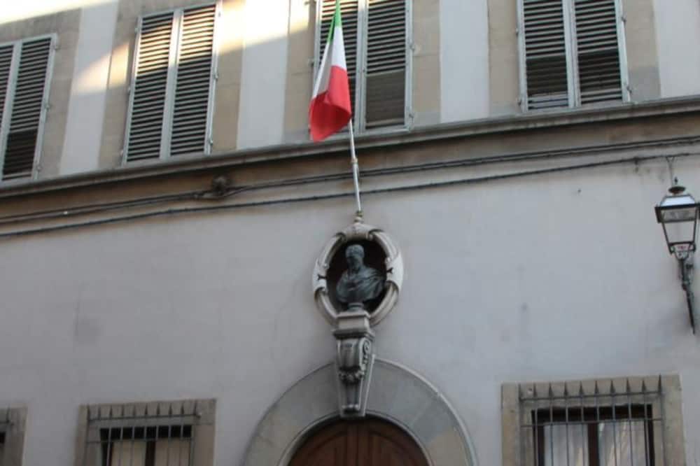 テル ダリ 写真