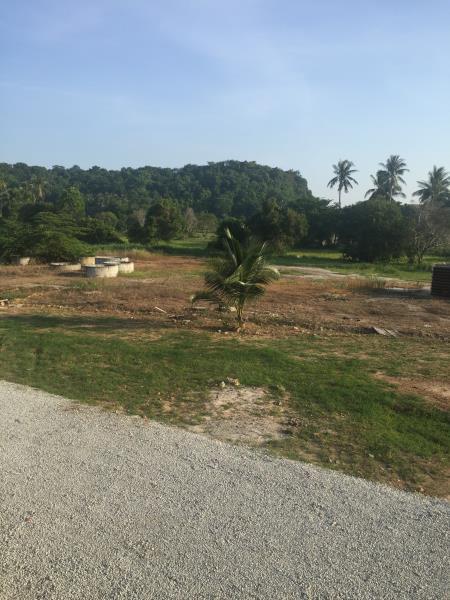 サイー ハー イン 写真