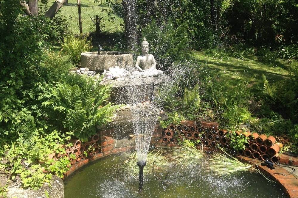 セント アンズ B&B 写真