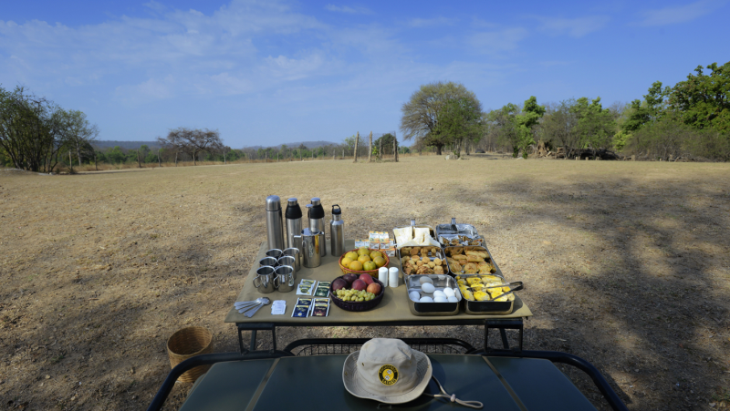 プグドゥンディー サファリズ ペンチ ツリー ロッジ 写真