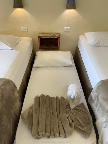 ボニート エコテル 写真