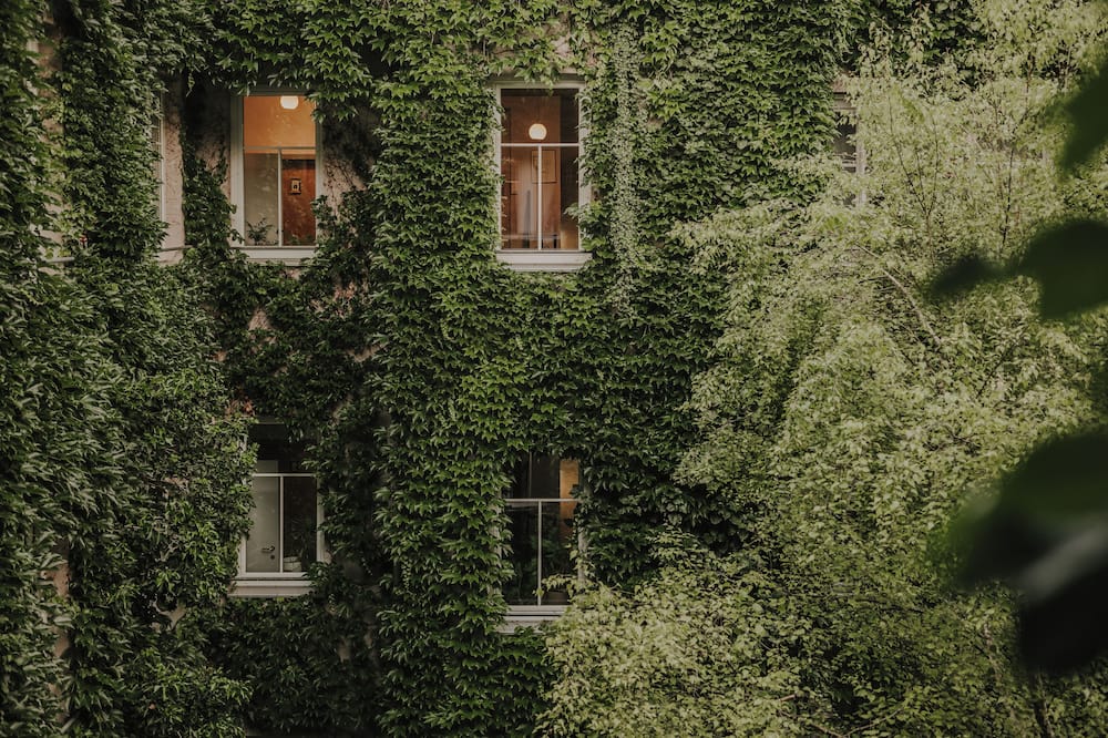 ブティックホテル シュタッドハレ 写真