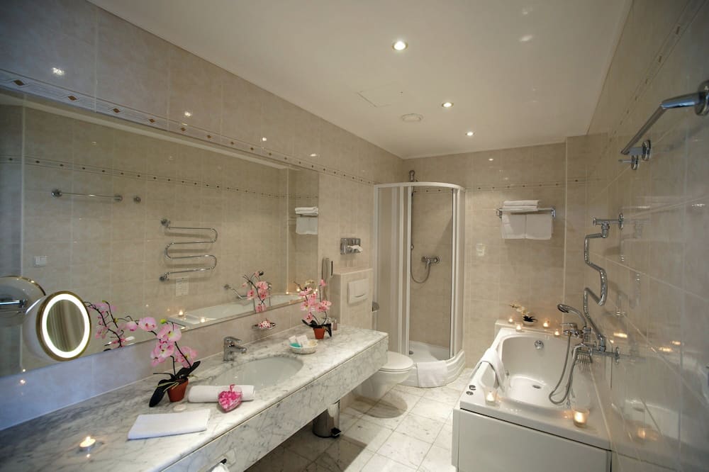 アンバサダー ズラータ フサ 写真