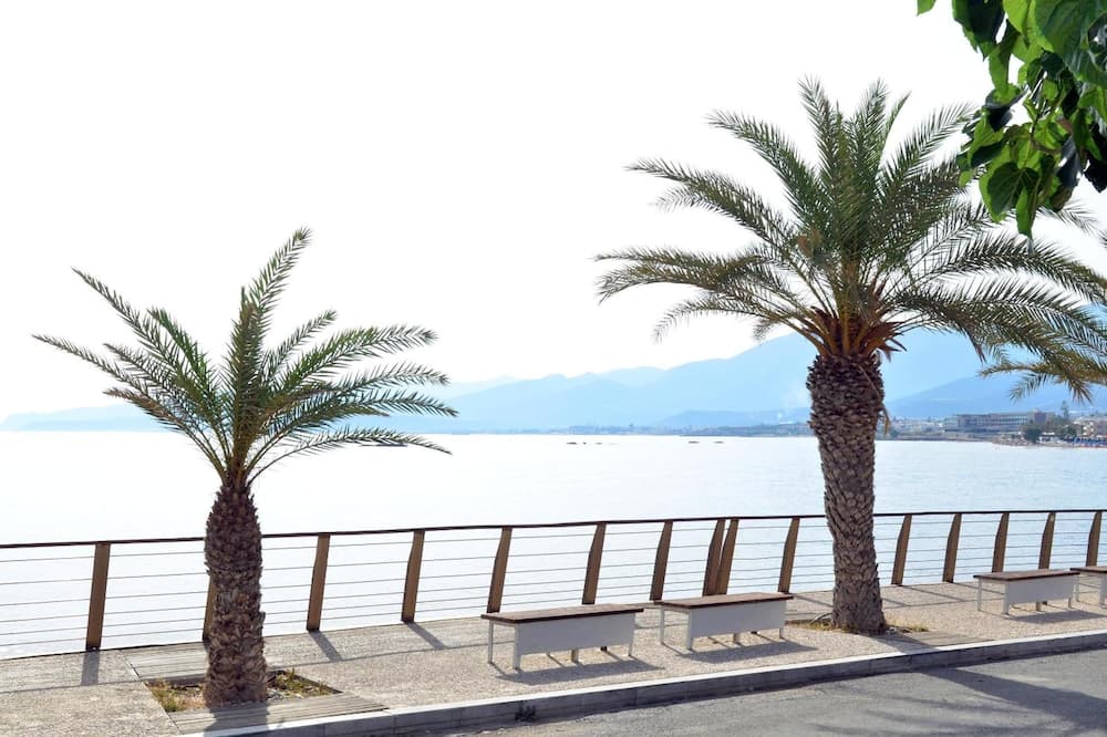 ティスヴィ 写真