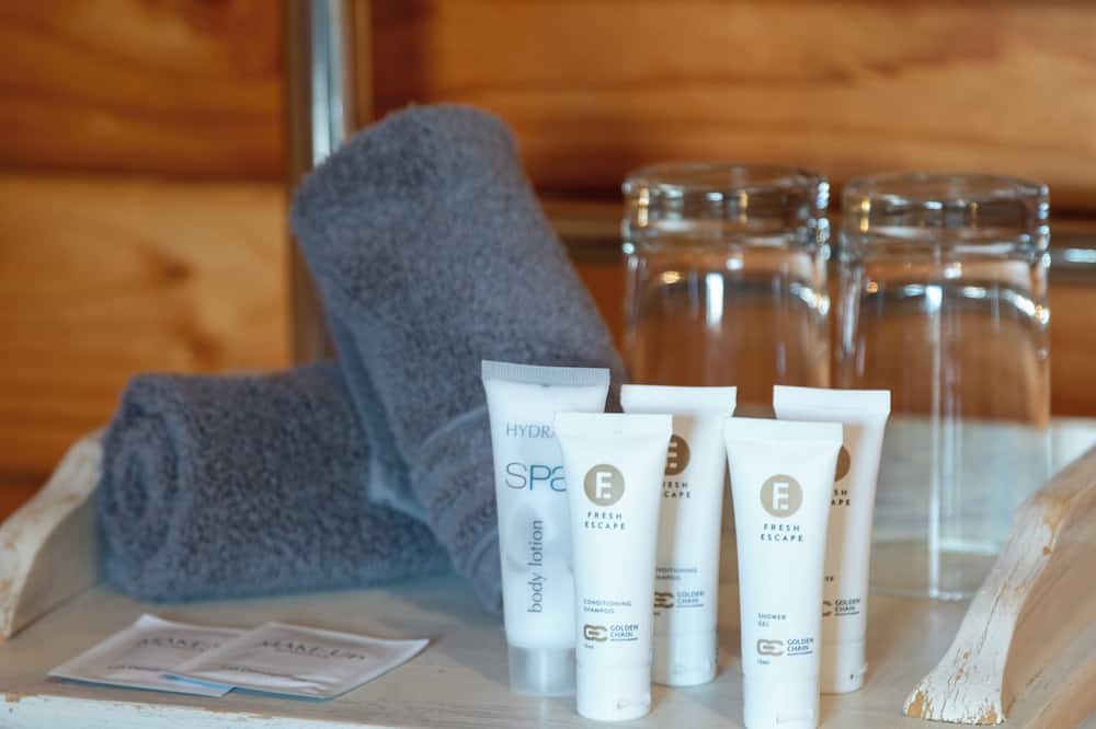 フォックス グレイシャー ロッジ 写真