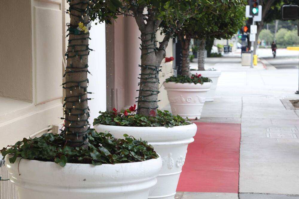 ホテル カーメル 写真