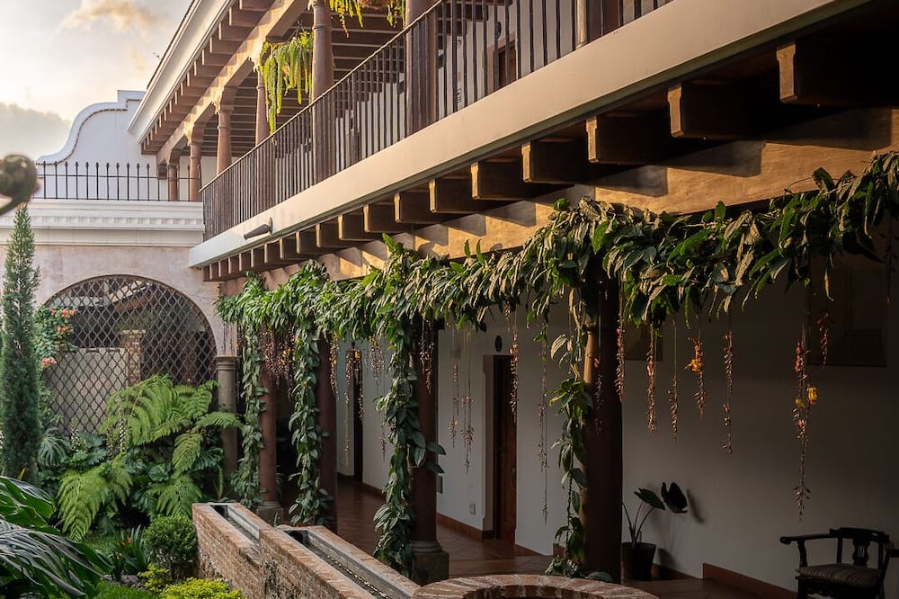 Hotel Los Pasos 写真