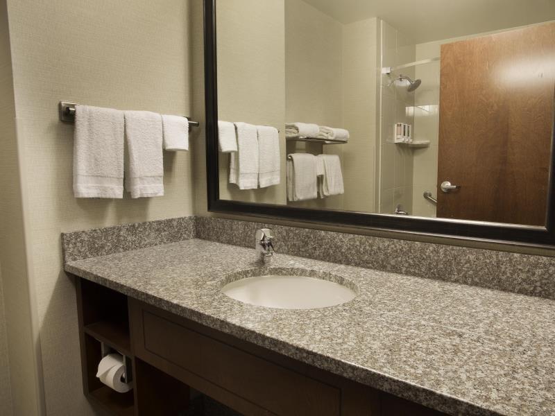 ドルーリー プラザ ホテル マウントバーノン 写真