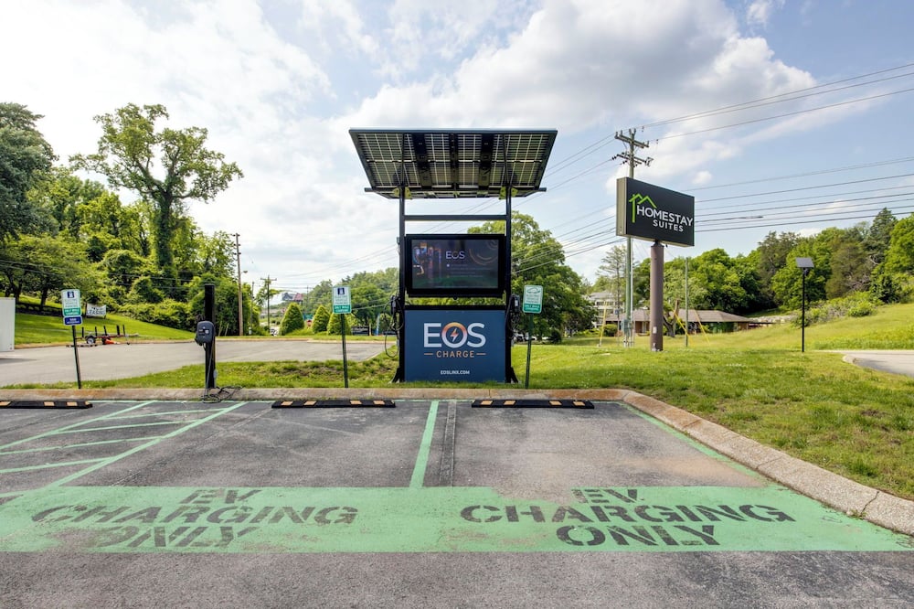 ホームステイ スイーツ 写真