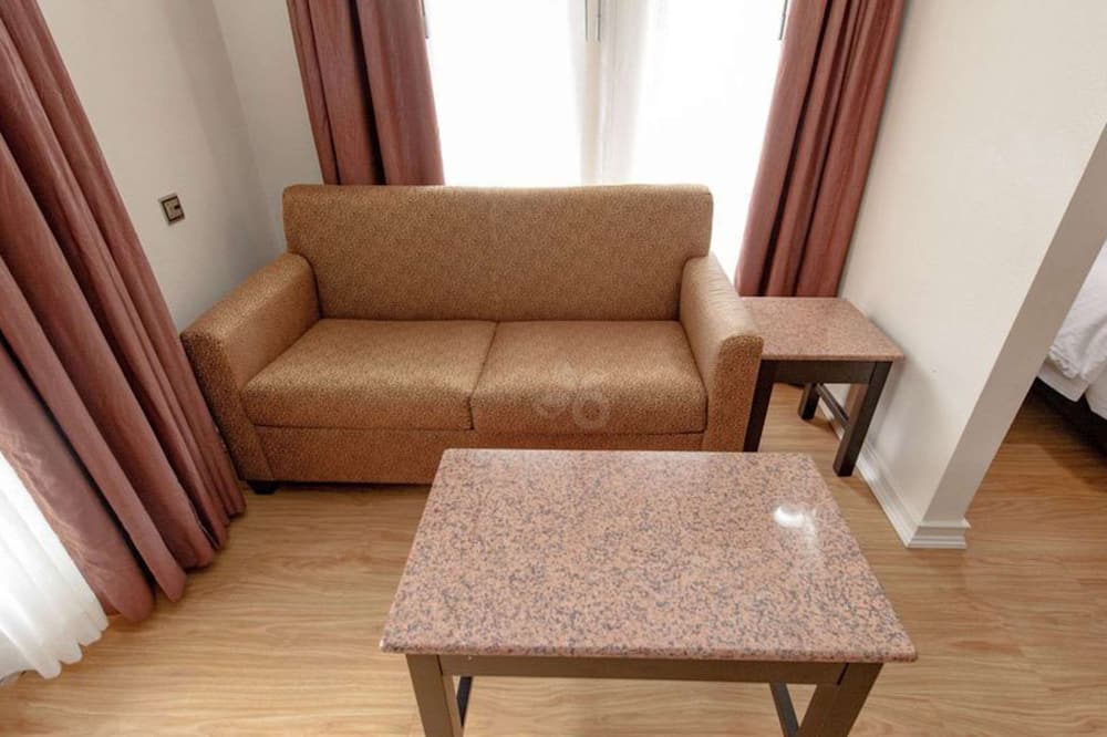 クオリティ イン & スイーツ ガトリンバーグ ノース 写真