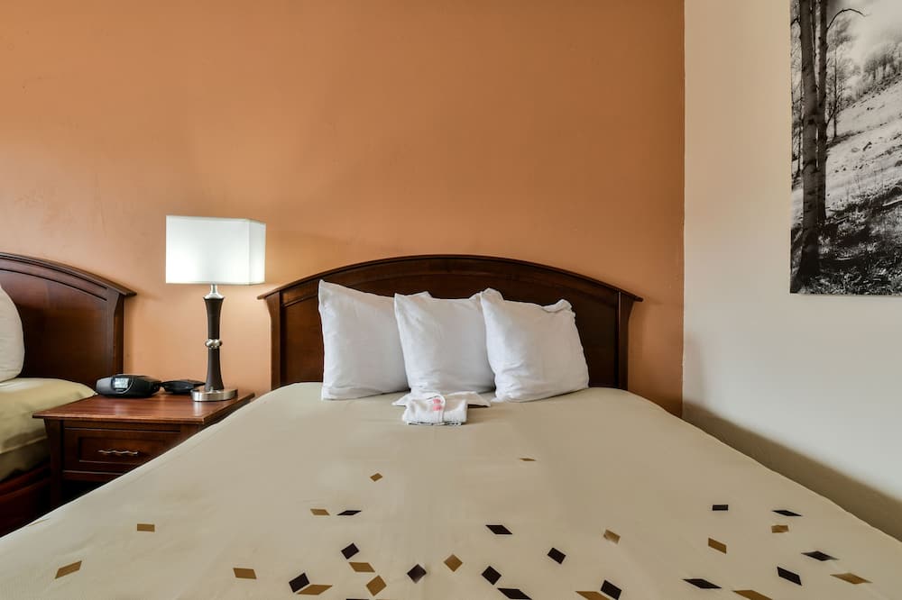 インカ イン 写真