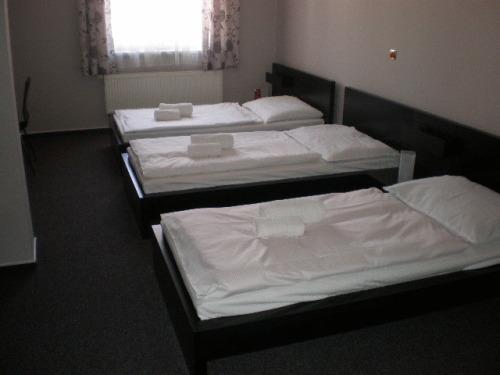 ホテル ズラタ スチカ 写真