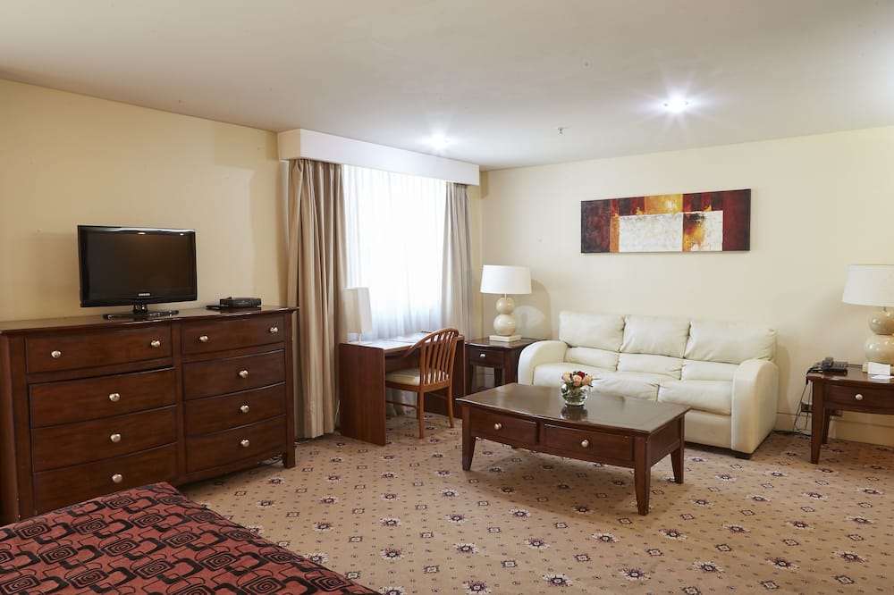 Hotel Torremayor Lyon 写真