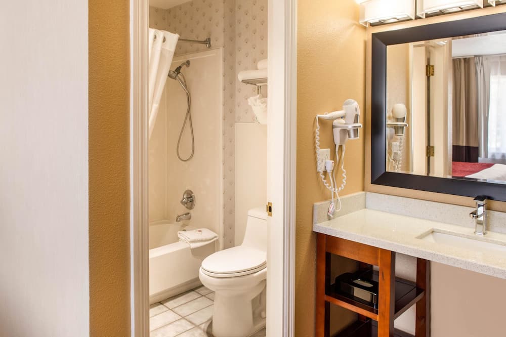 コンフォート イン マウント シャスタ エリア 写真