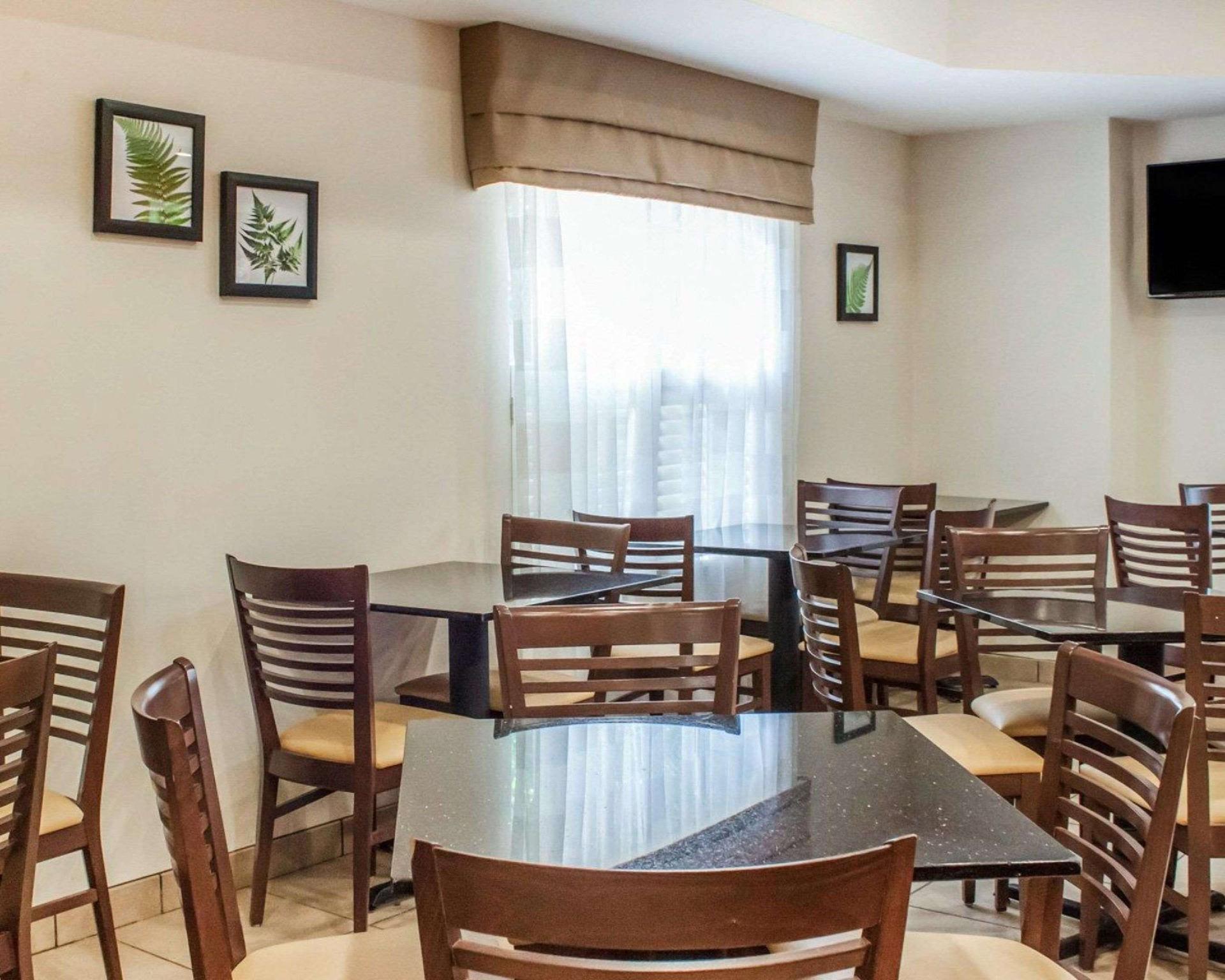 スリープ イン ノース チャールストン アシュリー フォスフェイト 写真