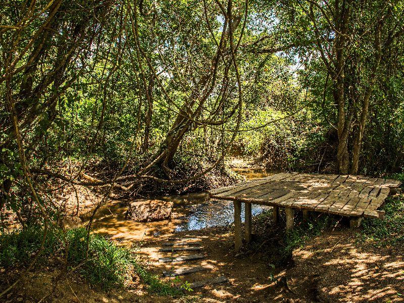アマーラ フォレスト ホテル シギリヤ 写真