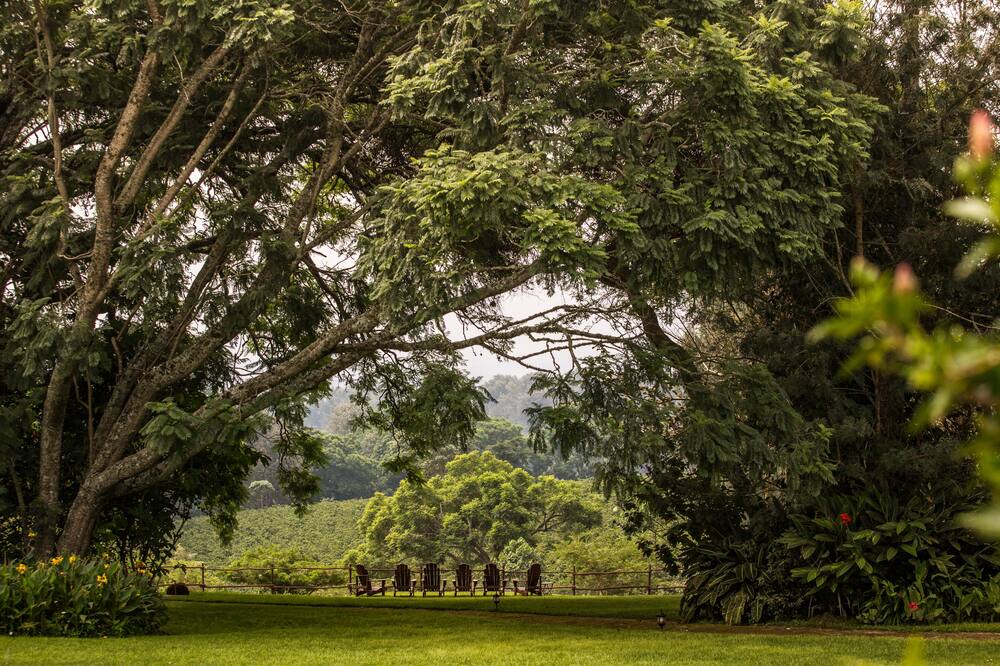 エレワナ ザ マナー ンゴロンゴロ 写真
