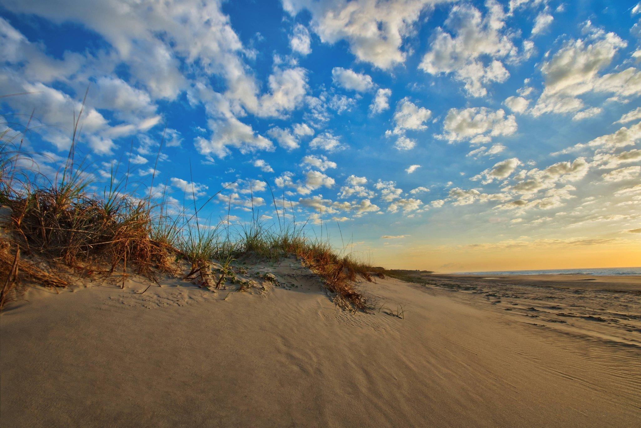 マリオッツ サーフウォッチ 写真
