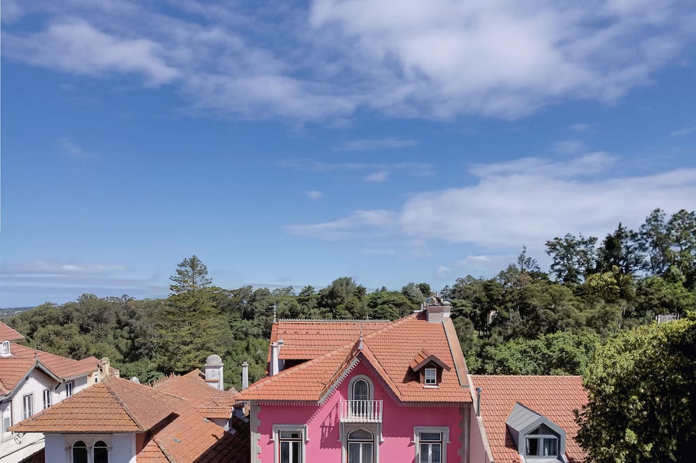 シントラ マルモリス カメリア 写真