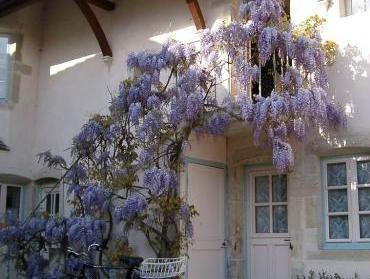 ボーヌ ホテル 写真