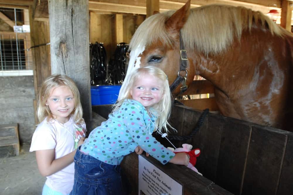 ホリデイ イン シカゴ ノース ショア バイ IHG 写真