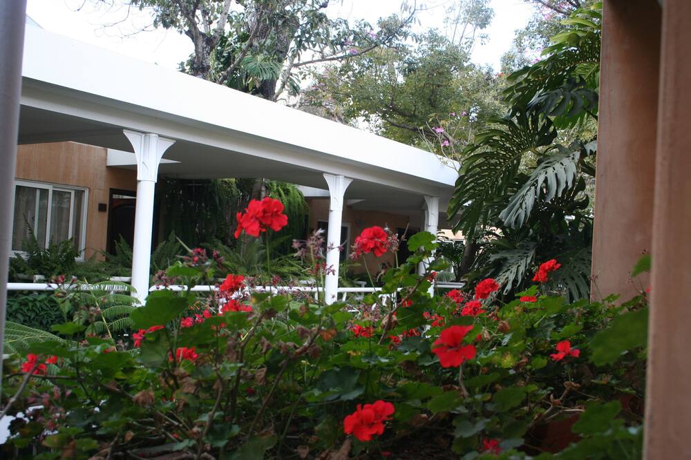 Hotel Ciudad Vieja 写真