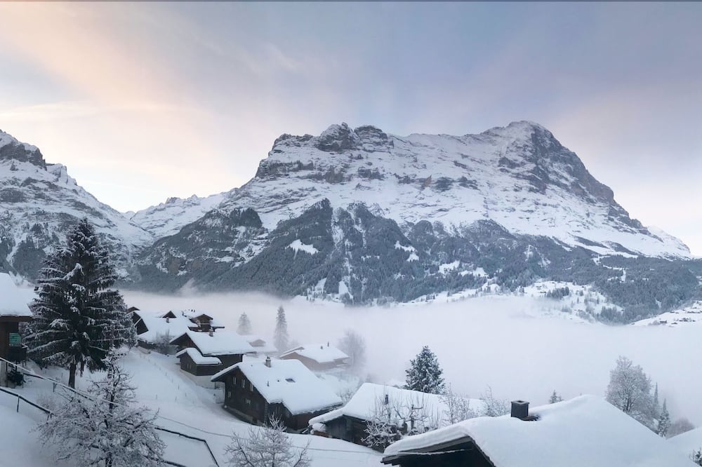 ホテル アイガーブリック 写真