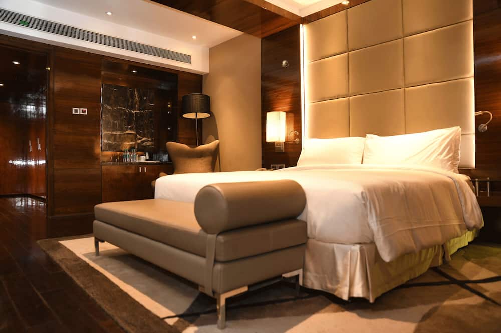 ラディソン ブル プラザ デリー エアポート 写真