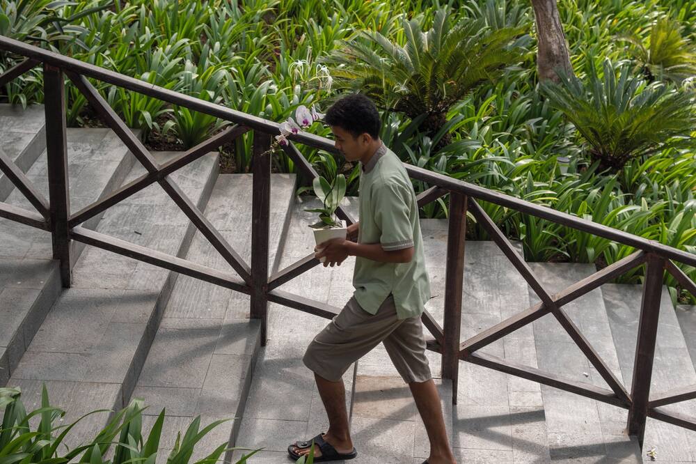 ダイアローグ セミニャック 写真