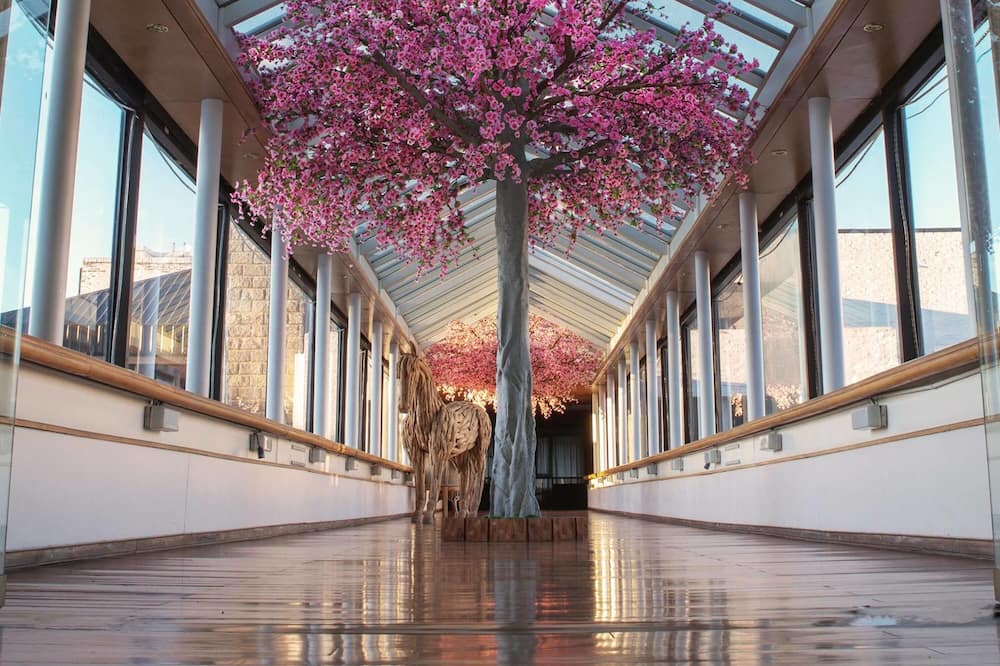 Sheraton Bariloche Hotel 写真