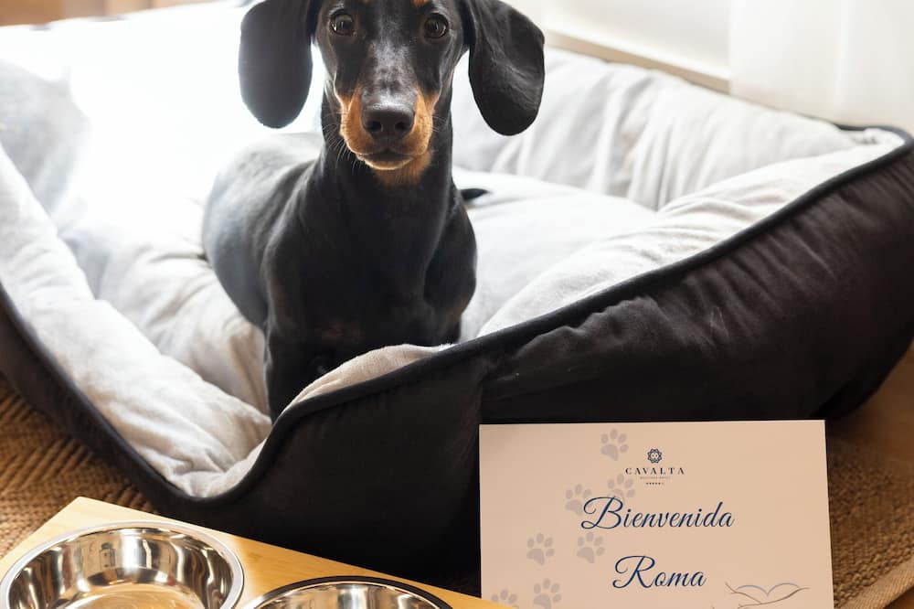 カバルタ ブティック オテル - スモール ラグジュアリー オテル 写真