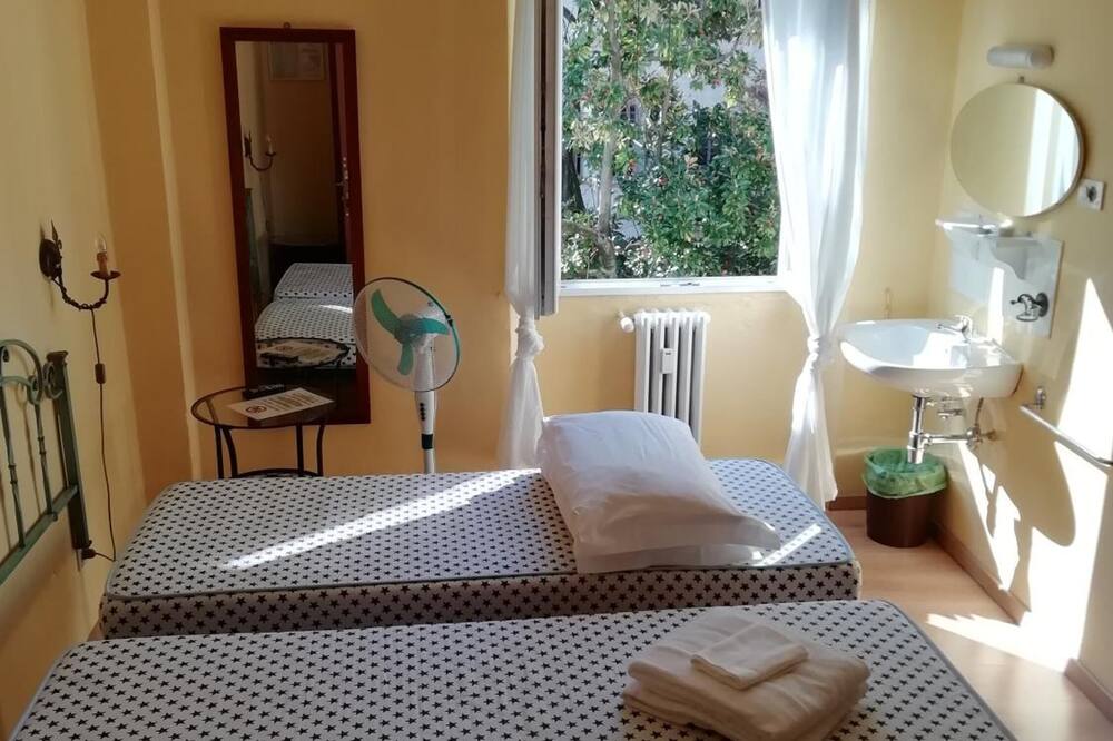 テル ダリ 写真