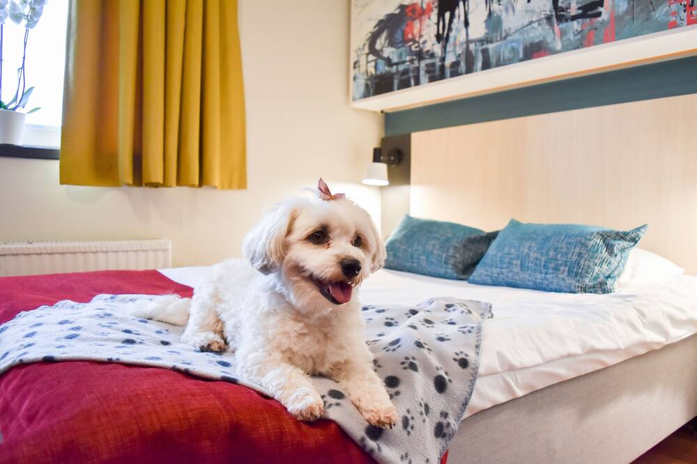 Good Morning Mölndal 写真