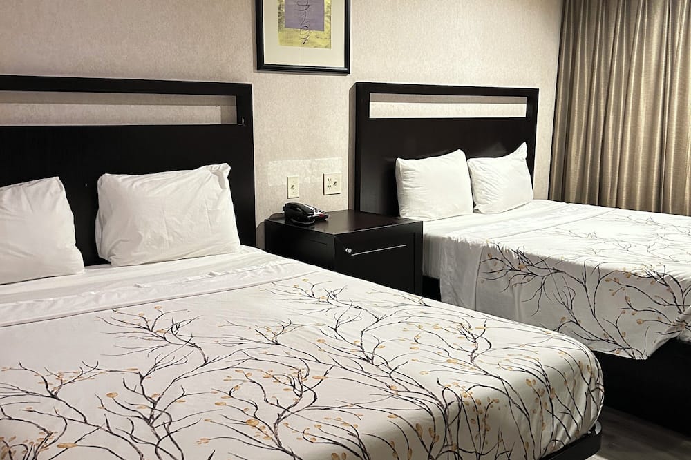 バレー イン 写真