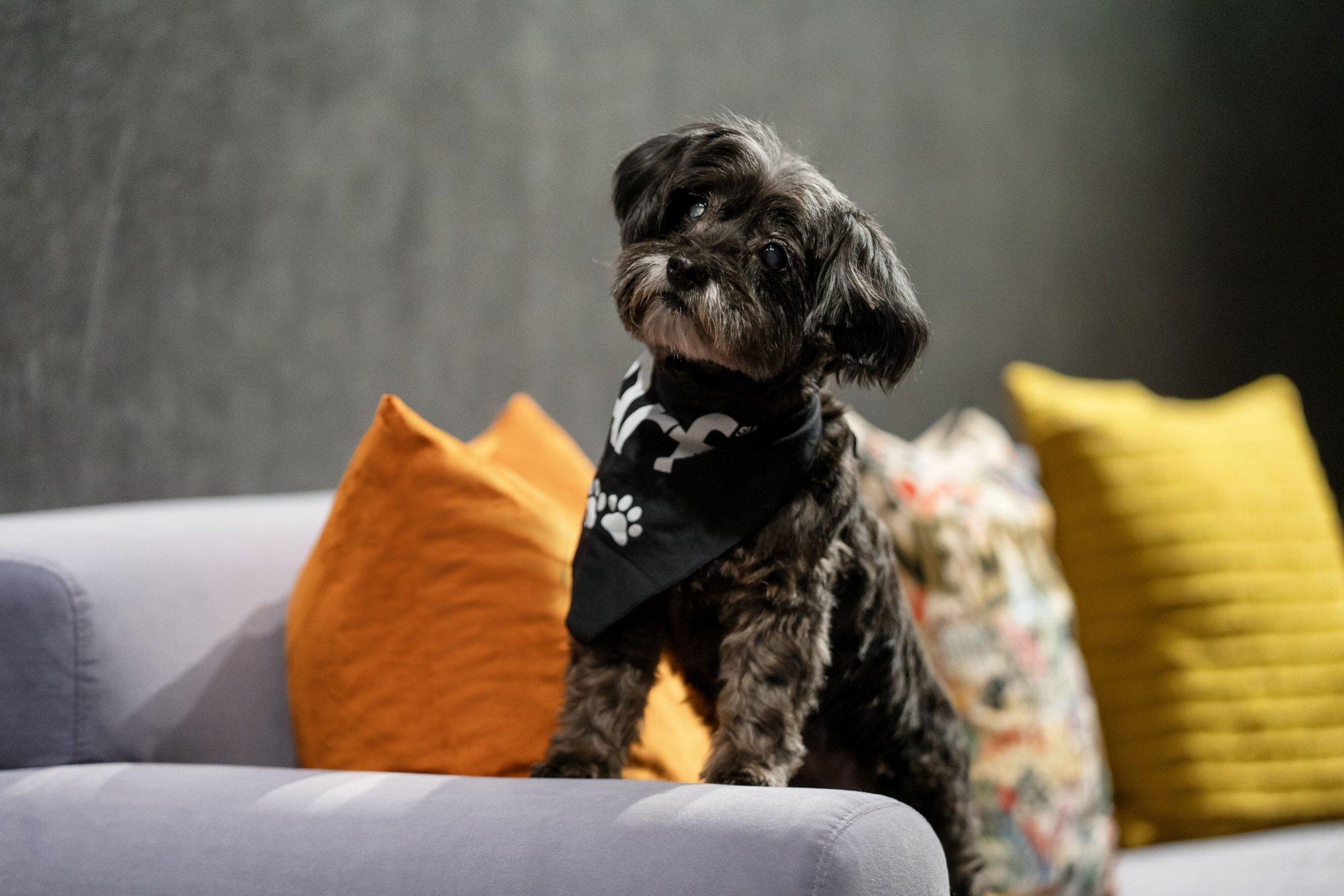 アロフト ニューヨーク チェルシー 写真