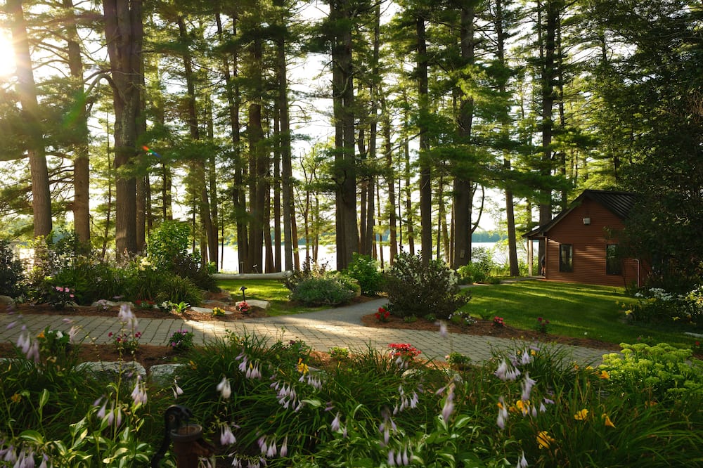 ウルフ コーヴ イン 写真