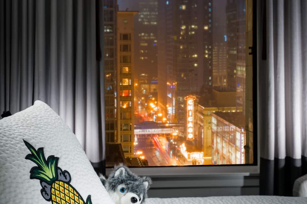 ステイパイナップル、アン アイコニック ホテル、ザ ループ 写真