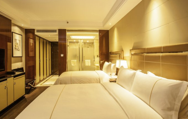 Maixinge International Hotel Pudong 写真