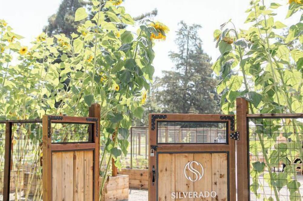 Silverado Resort 写真