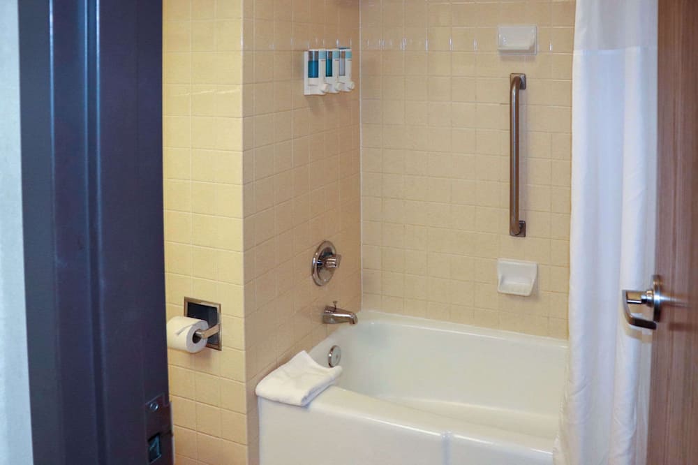 マスタング イン 写真