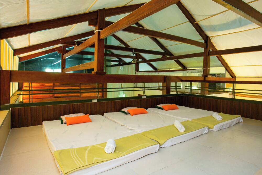 カット ティエン ジャングル ロッジ 写真