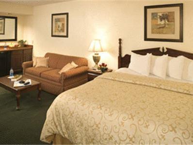 ベストウェスタン プラス ノックスビル シーダー ブラフ 写真