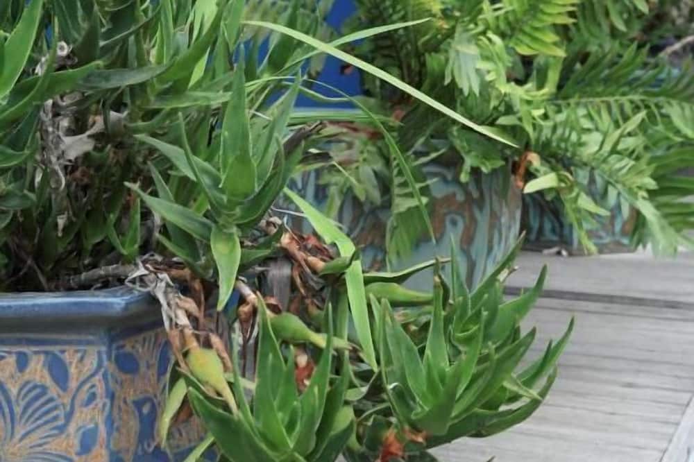 スターフィッシュ ロッジ 写真