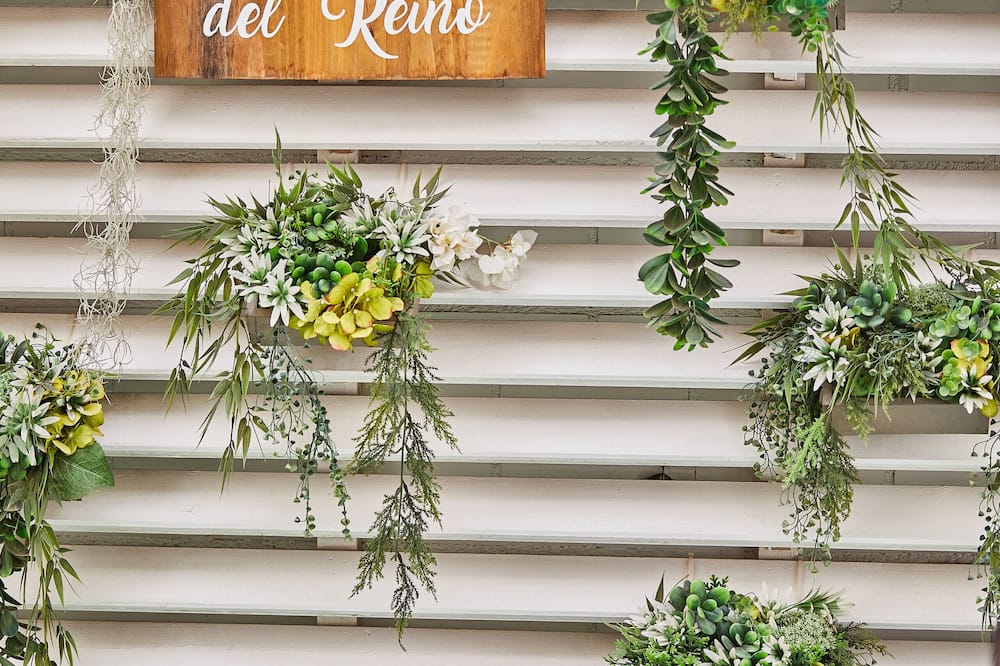 シルケン レイノ デ アラゴン 写真