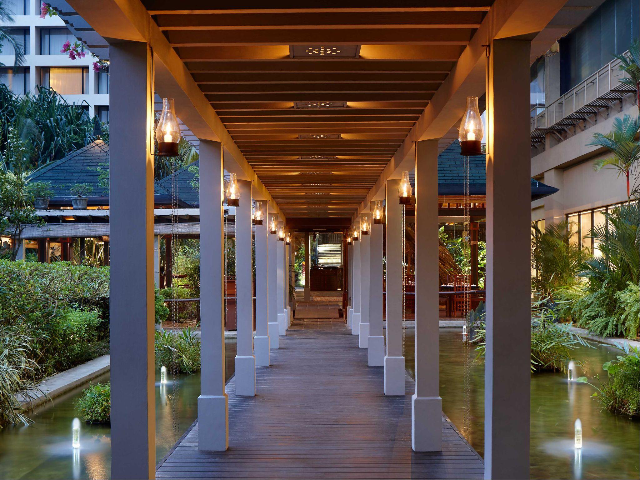 シナモン グランドコロンボ 写真