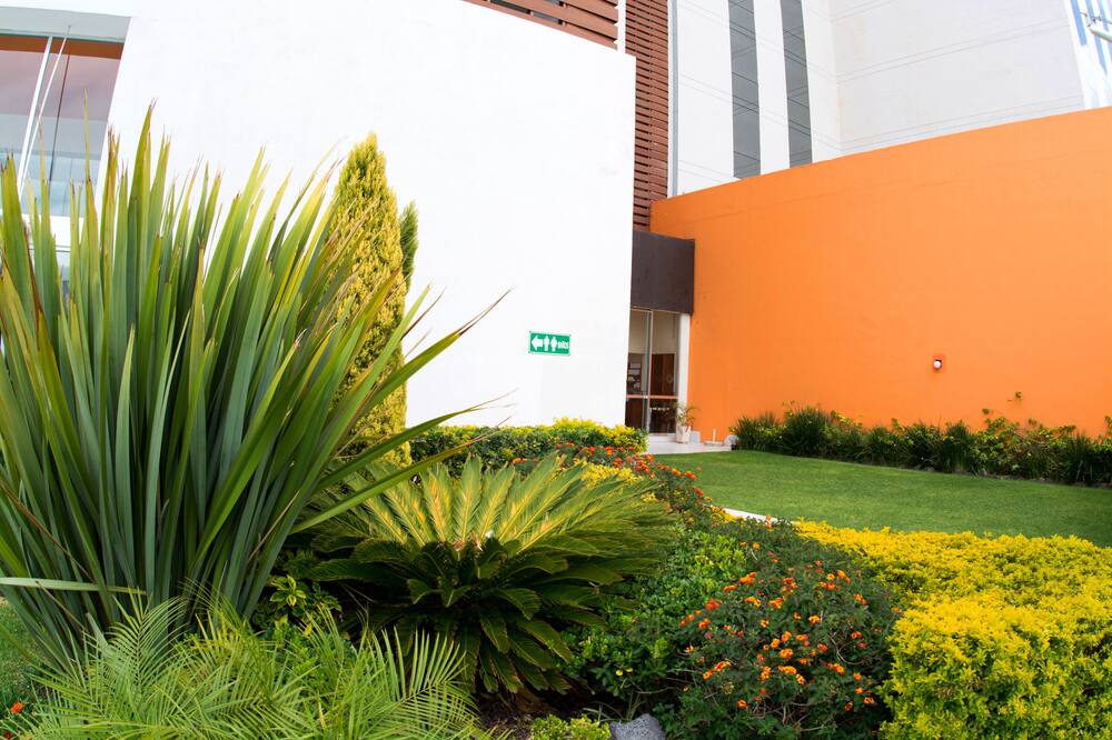 ベル エアー ビジネス サラマンカ トレードマーク バイ ウィンダム 写真