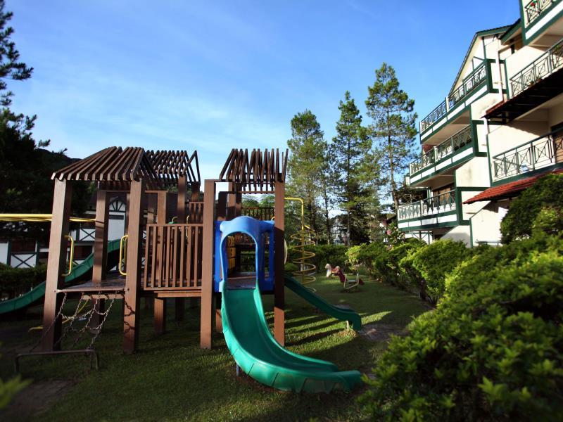 コプトホーン キャメロン ハイランズ 写真