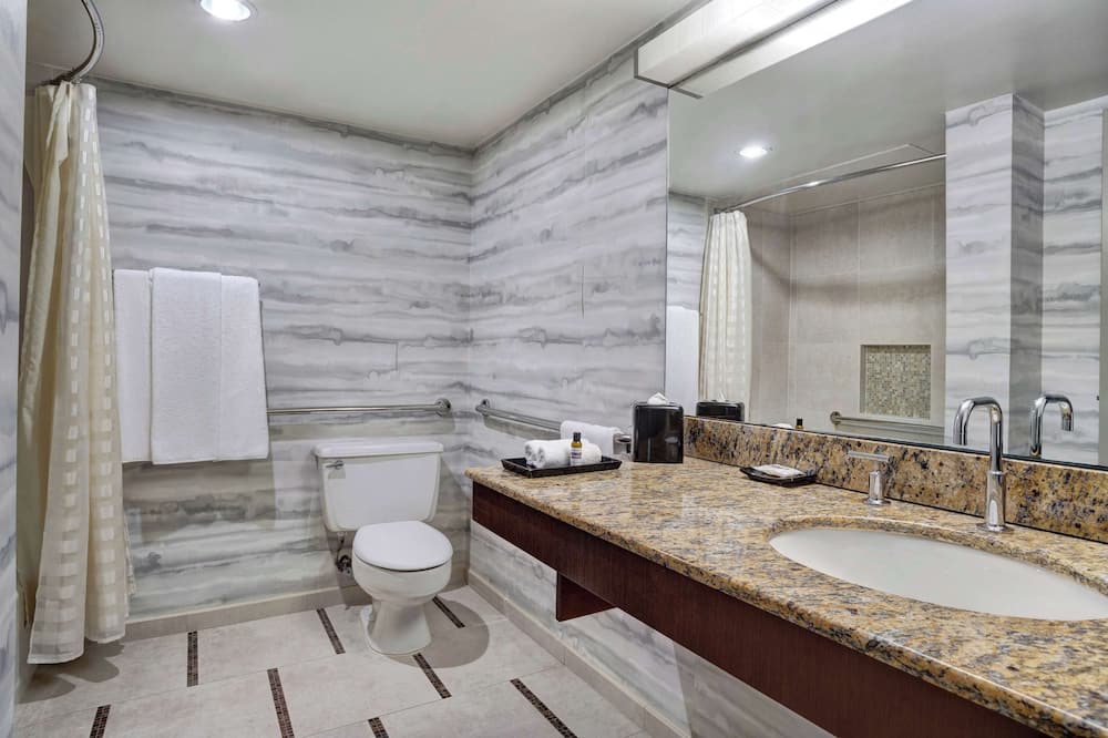 ハイアット リージェンシー DFW インターナショナル エアポート 写真